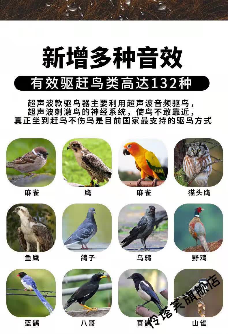 驱鸟器无声晋之星电器太阳能超声波语音智能驱鸟神器户外驱赶惊吓鸟