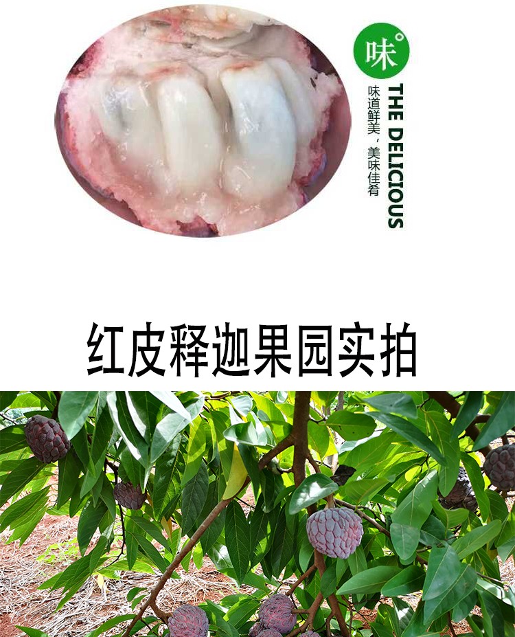 顺丰空运海南玫瑰红色番荔枝释迦新鲜水果稀有水果牟尼佛头果应季小果