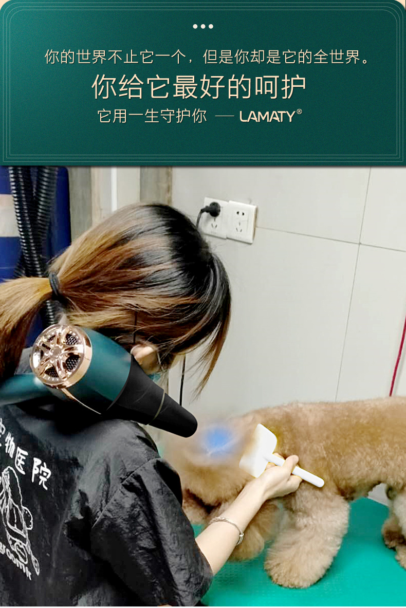 金毛洗澡专用吹风机宠物专用吹风机大功率挂脖拉毛速干大型犬静音狗狗
