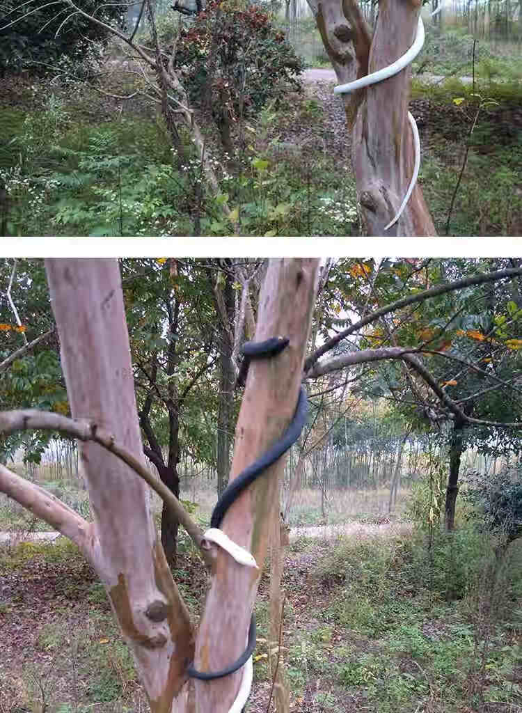 玩具蛇 硅胶创意蛇玩具白蛇动物模型假蛇吓人大号黑蛇软胶整人恶搞