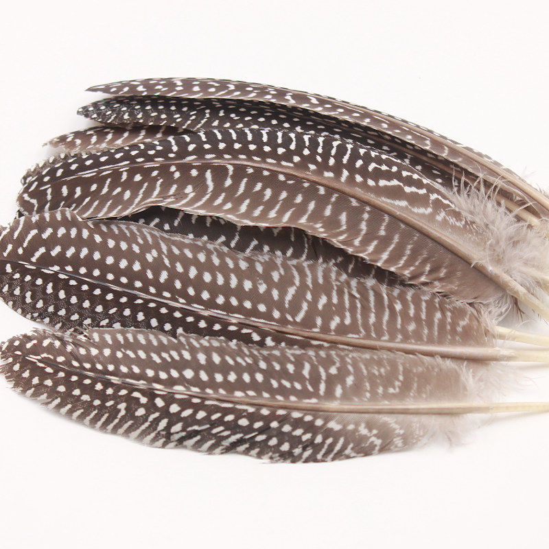 10根装孔雀羽毛野鸡羽毛天然野鸭羽毛鸭翠diy演出装饰小刀1015厘米10