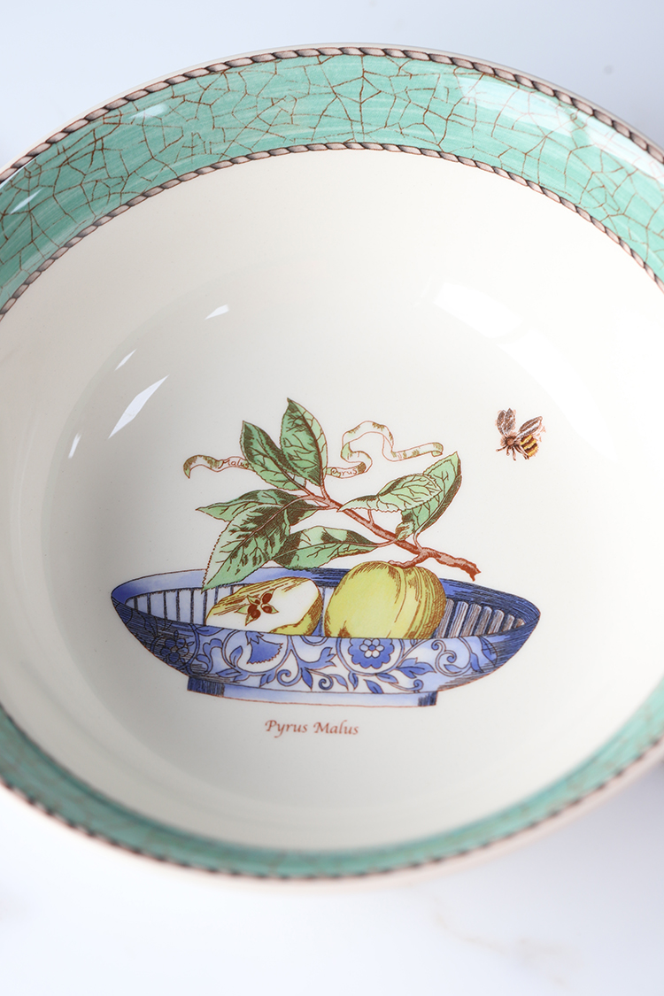 现货英国wedgwood盘子莎拉花园陶瓷餐具米饭沙拉面汤盘盘子34cm三明治