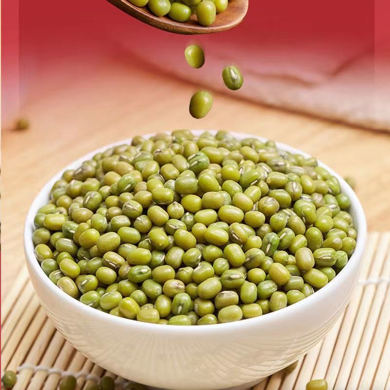 22年新货大绿豆易熟笨绿豆汤粥新鲜绿豆糕饼可发豆芽 精选大绿豆(可