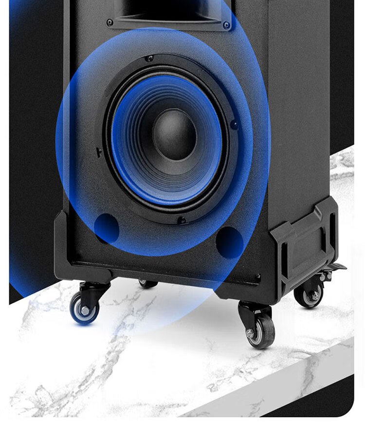 新科c25音响户外自带话筒声卡广场舞网红直播演出唱歌音箱k歌c258吋三