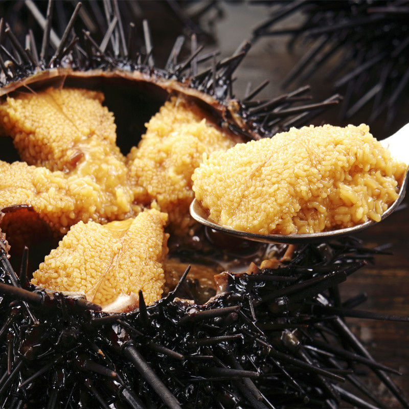 大洋岛连昱海胆罐头 新鲜海胆罐头 140g/罐 即食原汁海胆酱寿司刺身