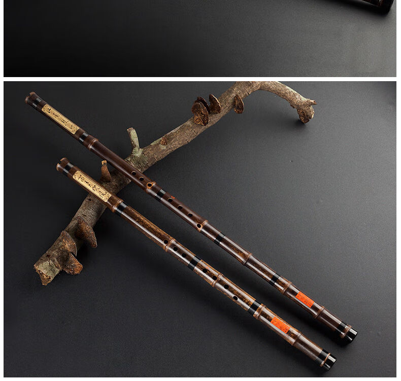 洞箫萧乐器初学入门八孔老紫竹箫笛专业高档六孔古风短箫一节洞箫专业