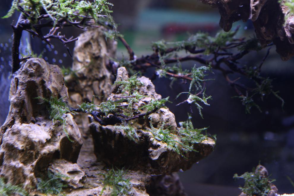 新鱼缸积木骨架造景悬浮套装松皮石头实拍水动力流沙瀑布60缸