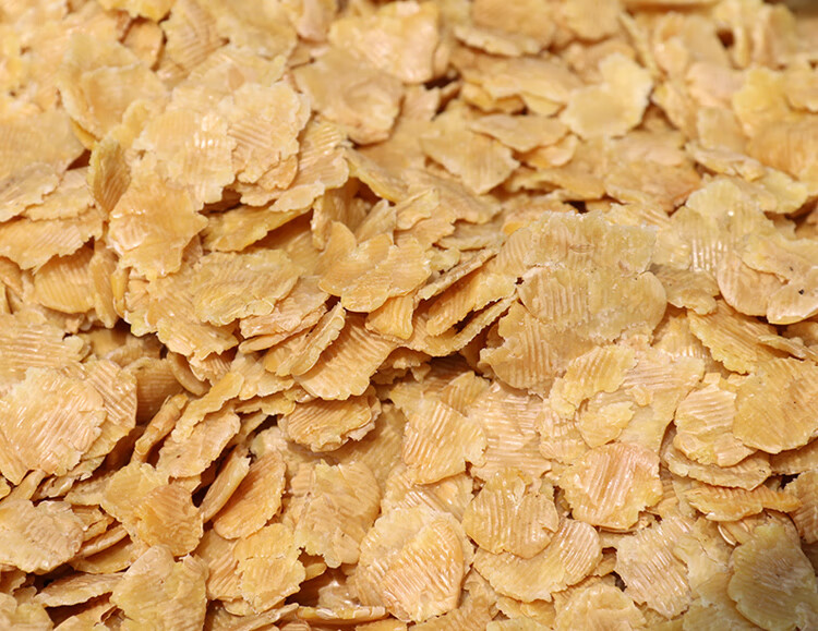 邳州黄豆钱子5斤扁豆钱农家自种豆片五谷杂粮粥徐州特产散装黄豆1500g