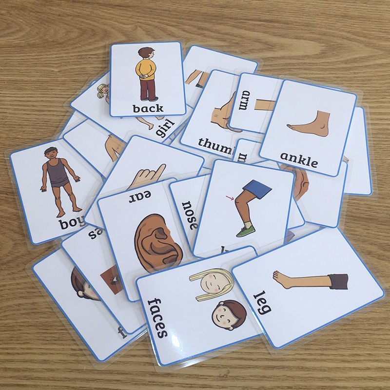 25张早教启蒙身体部位英语单词认知卡片教师课堂互动辅助闪卡教具 中