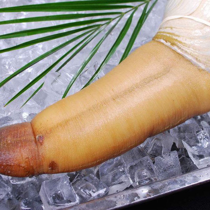 海鲜大象拔蚌生鲜鲜活冷冻香辣象鼻蚌切片刺身海鲜水产90100克