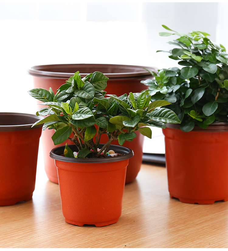 软塑料双色花盆种植育苗盆简易花盆抗氧化培育盆一次性营养钵130型号