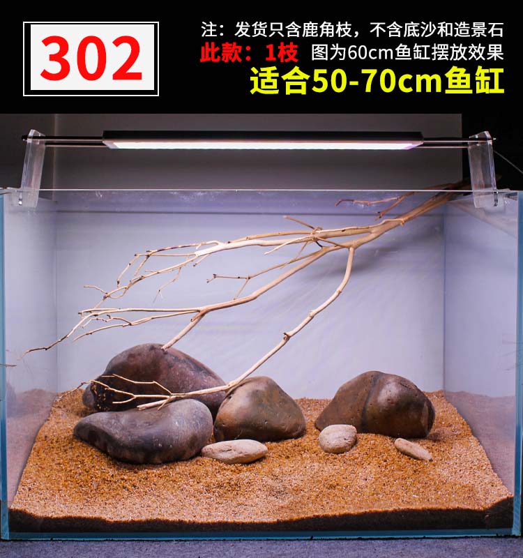 356e32bc819873b2.jpg