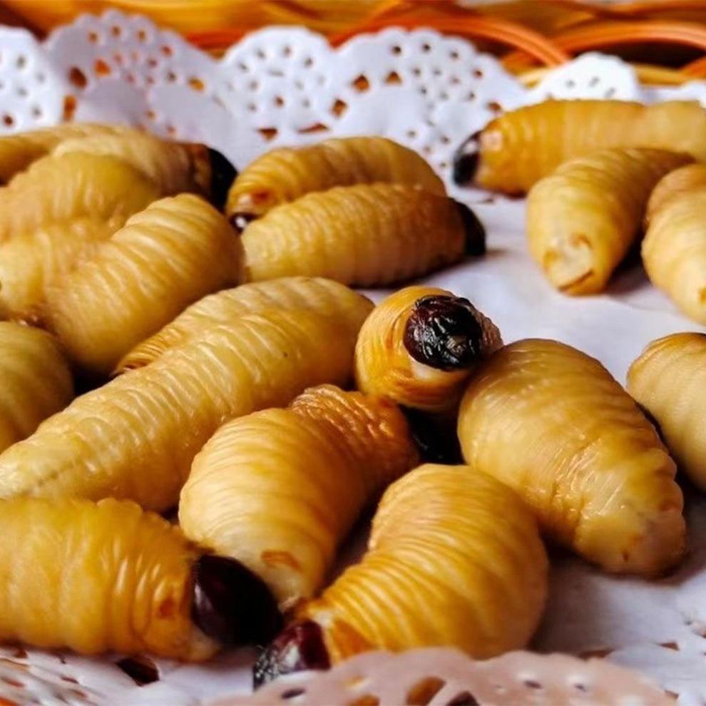 竹虫食用速冻大竹虫竹笋虫竹蛹干冻无冰大竹蛆笋蛆笋子虫鲜500克一斤