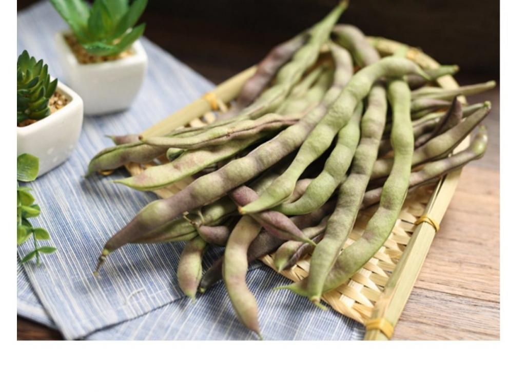 【顺丰速发】东北特产紫豆角农家自种新鲜蔬菜大紫袍芸豆冻死鬼长扁豆