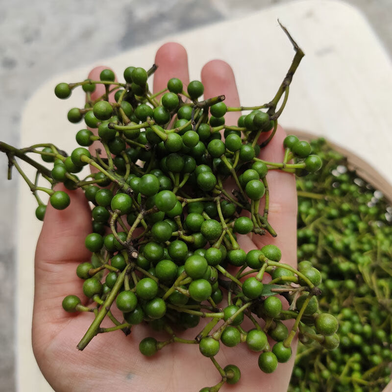 凯偲洽 贵州现摘木姜子粒野生新鲜木浆子特产酸汤火底料苍子胡椒 新鲜