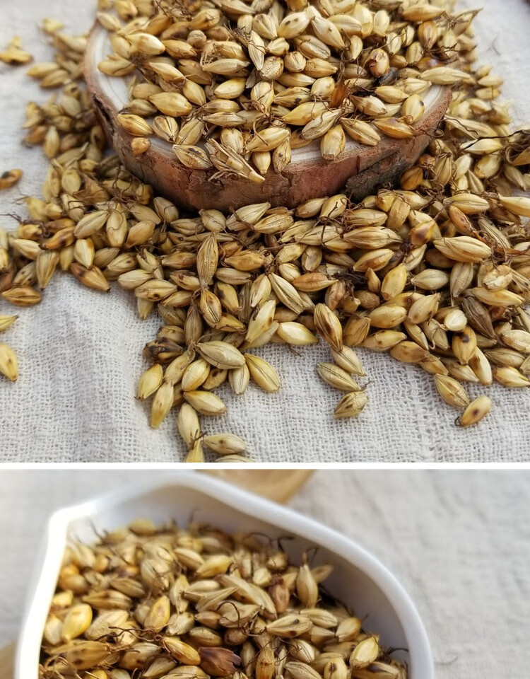 炒麦芽 回奶茶 降泌乳素 500g大麦芽 熟麦芽 大麦茶 两件.