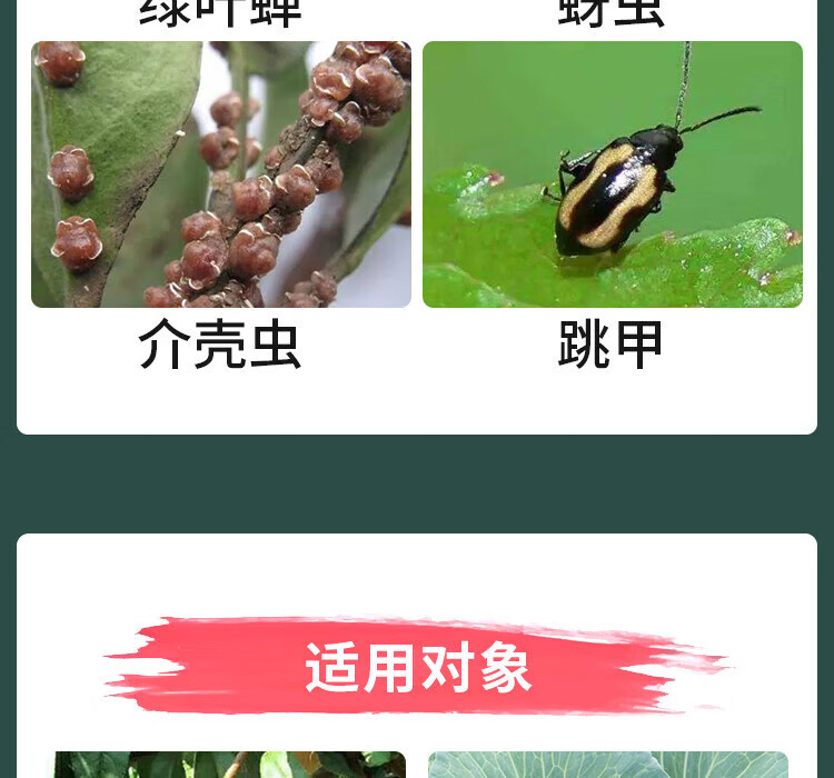 蓟马白粉虱飞虱跳甲果树蔬菜水稻农药品牌:凯瑞克加入购物车本店好评