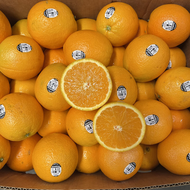 味蕾乐 新货澳洲进口新奇士黑标3107橙子10只装脐橙味甜多汁农产品