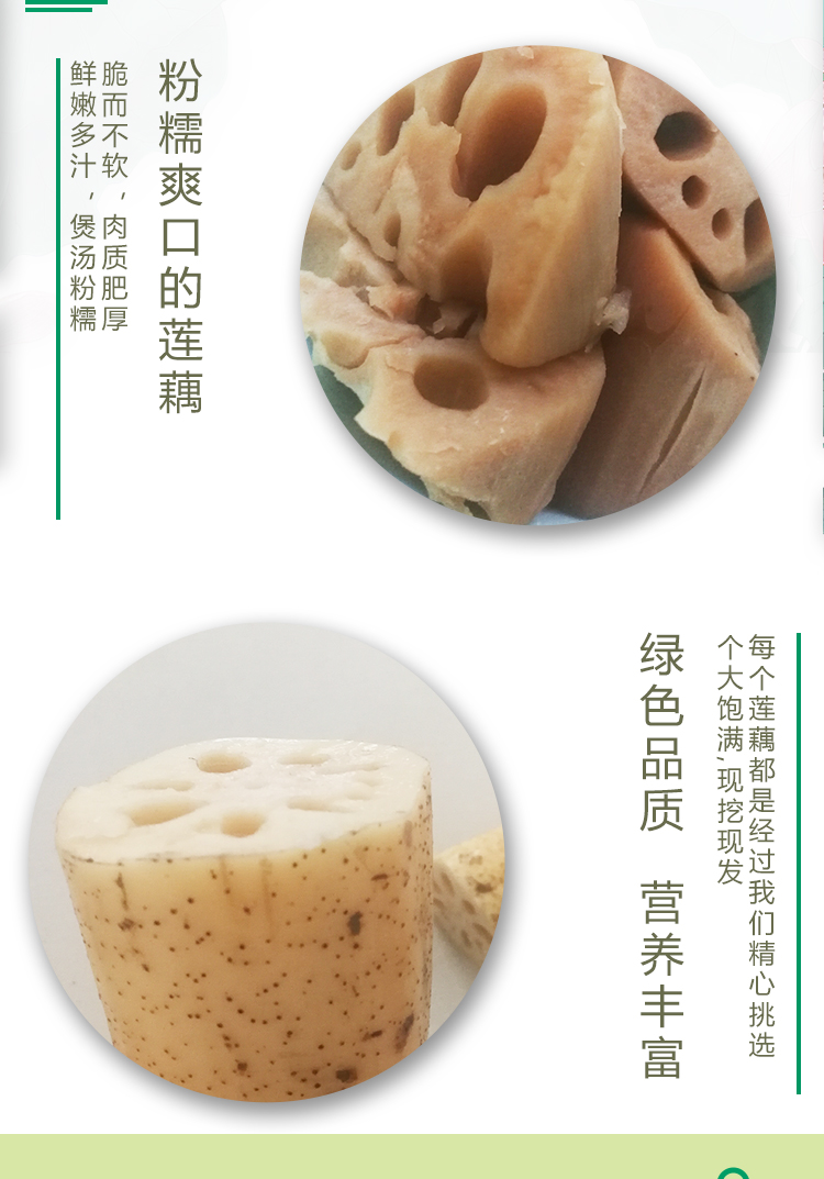 洪湖新鲜粉藕5斤现挖莲藕农家特产九孔脆藕白嫩糯藕煲汤蔬菜新鲜火锅