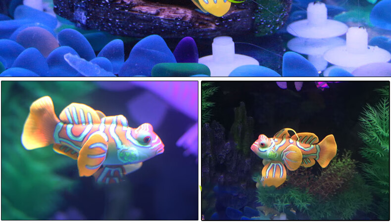 荣郁鱼缸造景装饰仿真鱼假鱼硅胶金鱼装饰品观赏鱼仿真金鱼带吸盘仿真