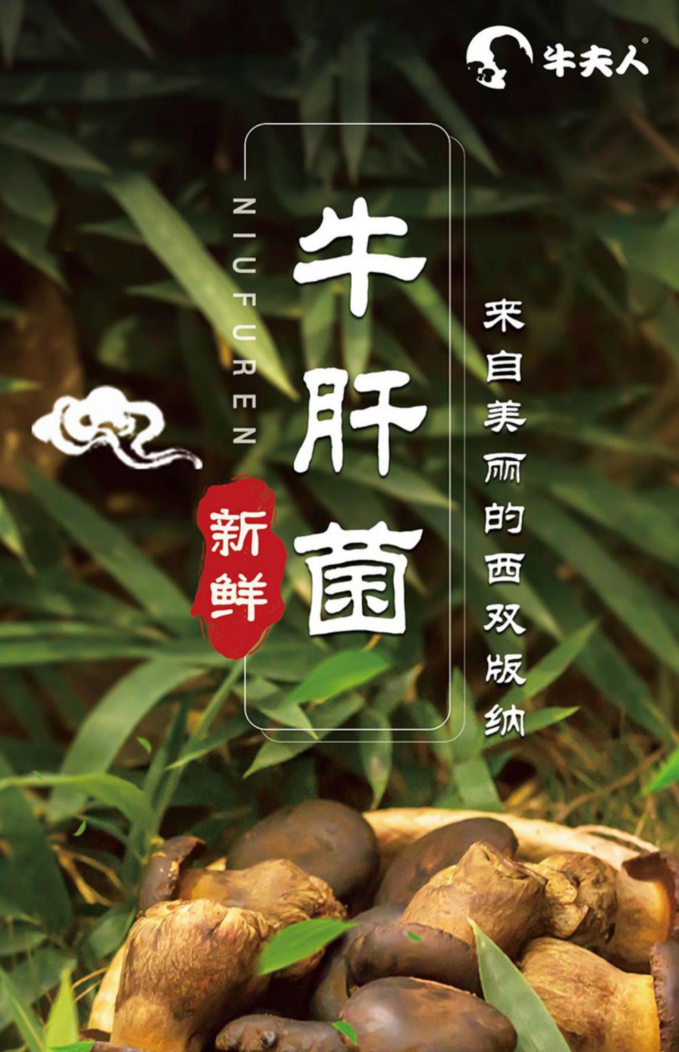 新鲜牛肝菌500g实惠装云南特产有机黑牛肝菌珍稀食用菌蘑菇 540g 鲜