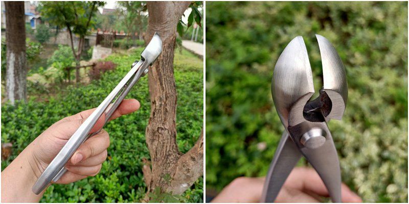 球节剪树节剪刀盆栽养护造型工具修枝球形剪朱记球节剪中号送油铝丝