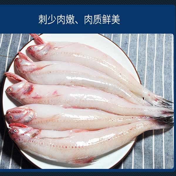 lism霞浦新鲜龙头鱼豆腐鱼海鲜水潺鱼生鲜龙头鲓丝丁鱼九肚鱼顺丰2斤