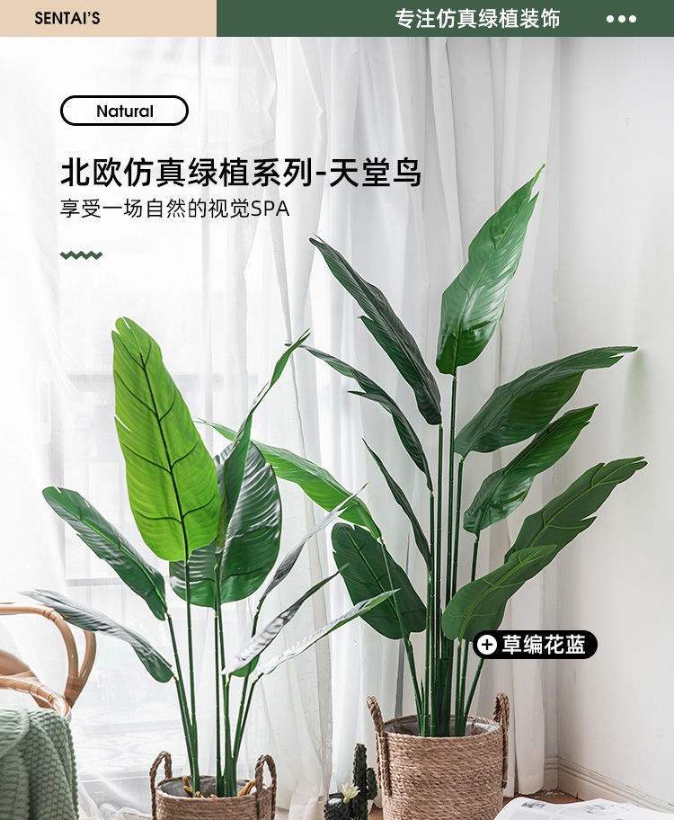 假盆栽绿植网红摆件树大型北欧仿真植物鸟旅人蕉室内装饰花09米吉祥鸟