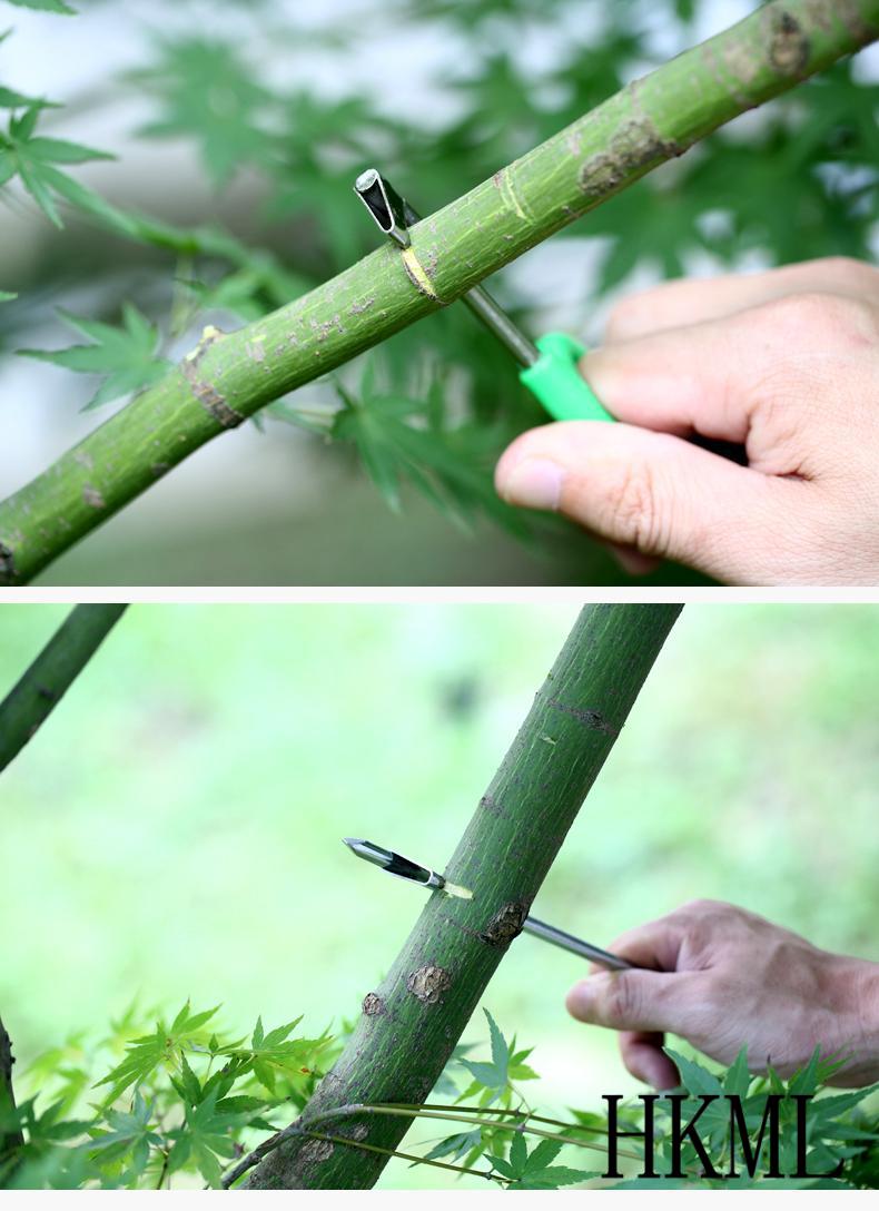 环割刀金刃柚子树柑橘果树环割刀剥皮环剥刀荔枝葡萄桃树环剥刀0到8号