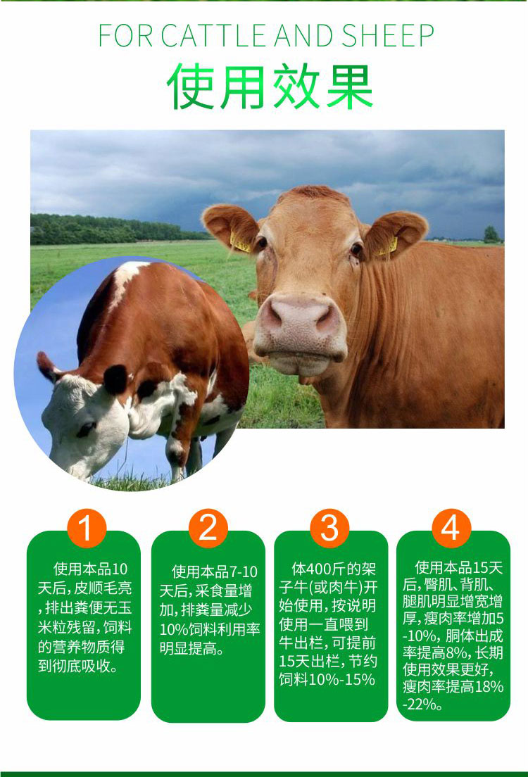 四效牛羊瘤胃宝兽用牛羊反刍健胃散催肥促生长开胃消食增食散 快速