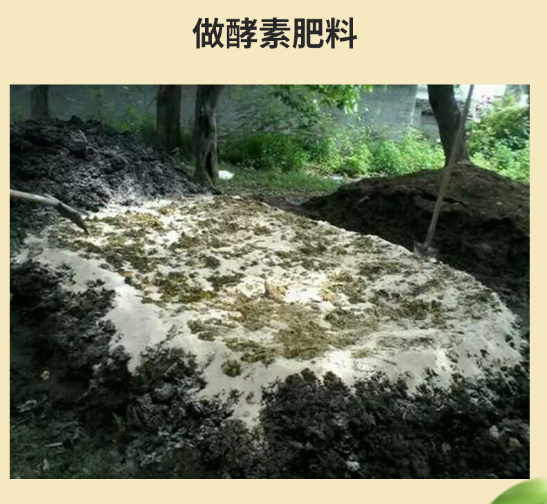 7b7cb440a780ca33.jpg