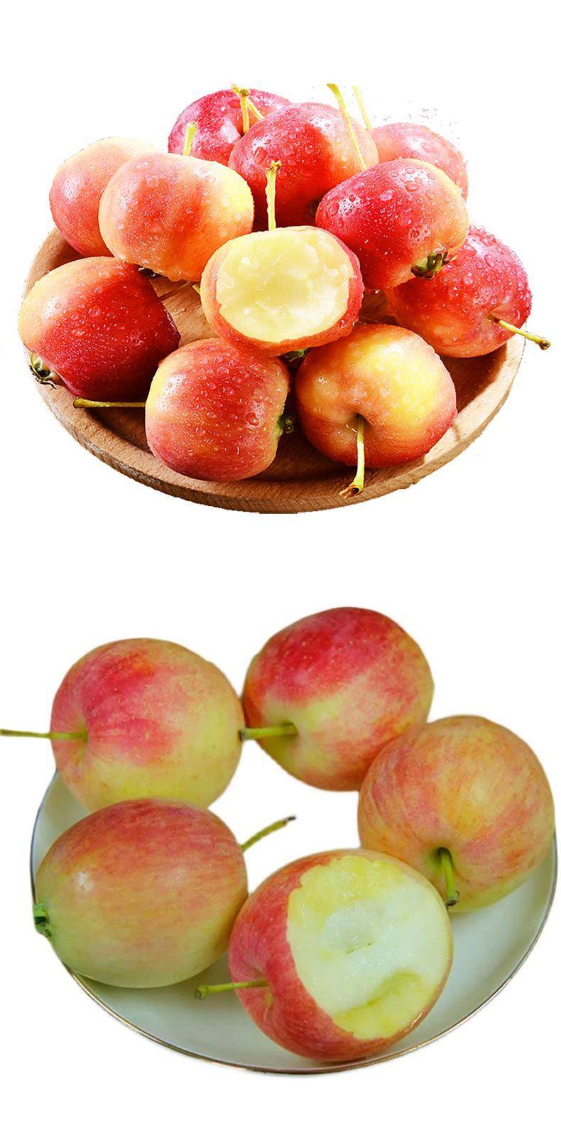 顺丰东北特产k9小沙果5斤当季新鲜海棠果小苹果孕妇甜酸水果 5斤 75mm