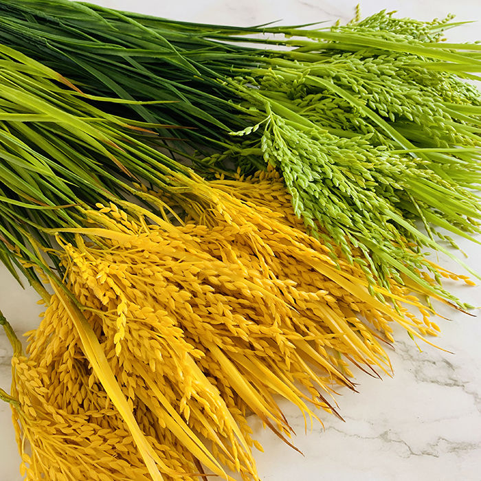 精选仿真假水稻稻谷稻穗仿真麦穗小麦干花绢花家居农家乐装饰道具麦子
