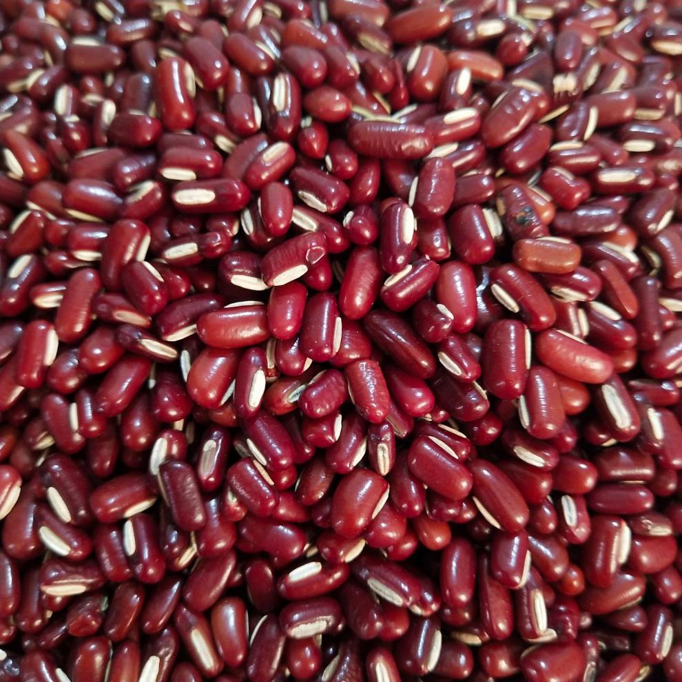 荟济堂 赤小豆500克红豆农家自产小赤豆薏米粥红豆薏米茶新货精选中