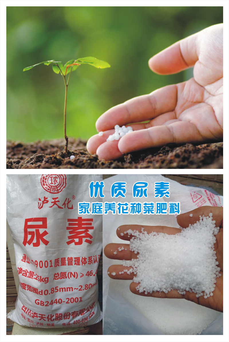 尿素50斤装种花种菜果树肥料花卉盆栽氮肥通用型氮磷钾复合肥 泸天化