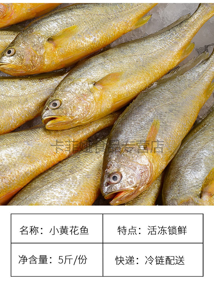 黄花鱼小黄花鱼冷冻鲜山东青岛特大黄花鱼整箱3斤 6斤大号plus豪华版