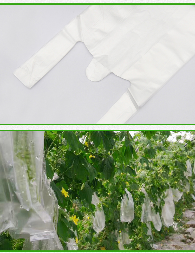 丝瓜套袋专用袋防水防虫袋子黄瓜苦瓜果蔬保护套带套丝瓜一捆80个