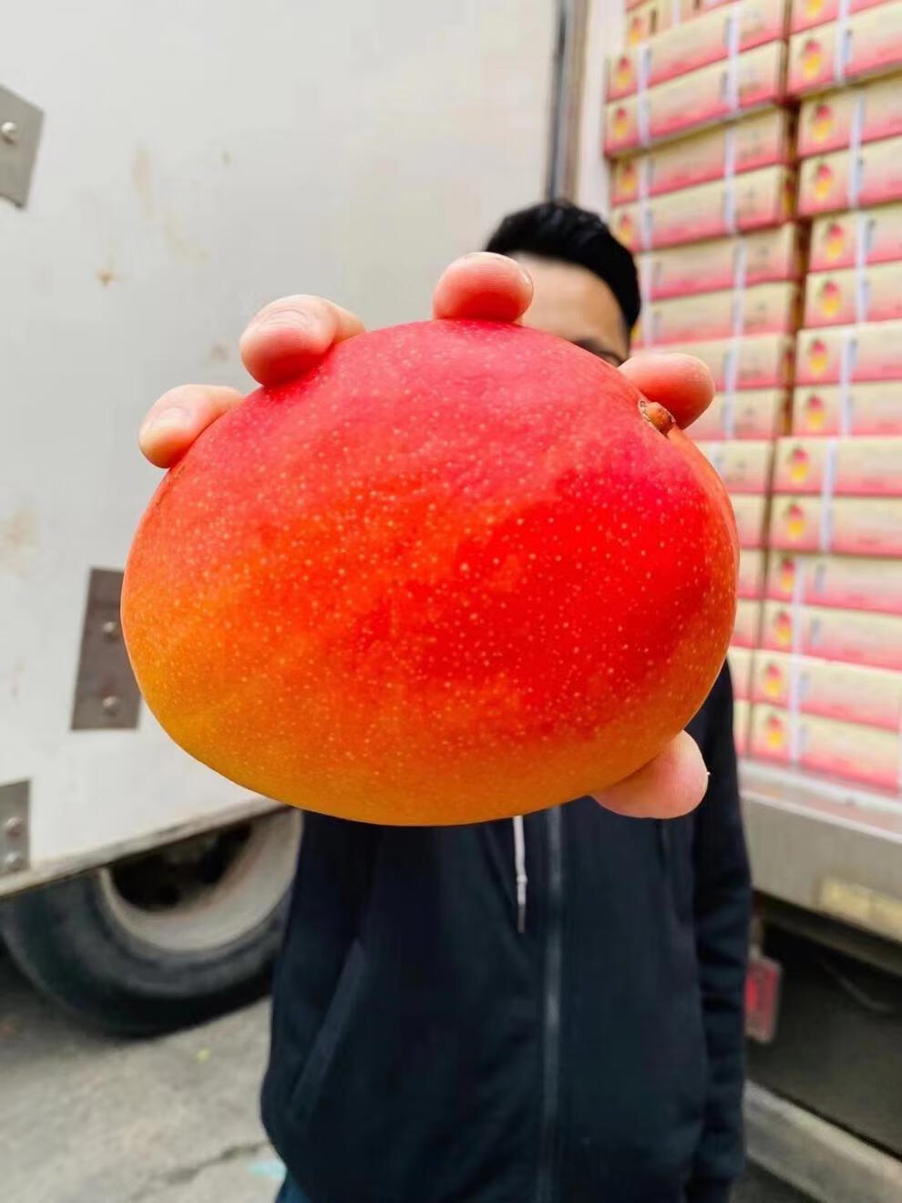 现货空运 太阳之子芒果 海南香甜好吃5斤礼盒装3~4枚浓郁甜整箱 5斤