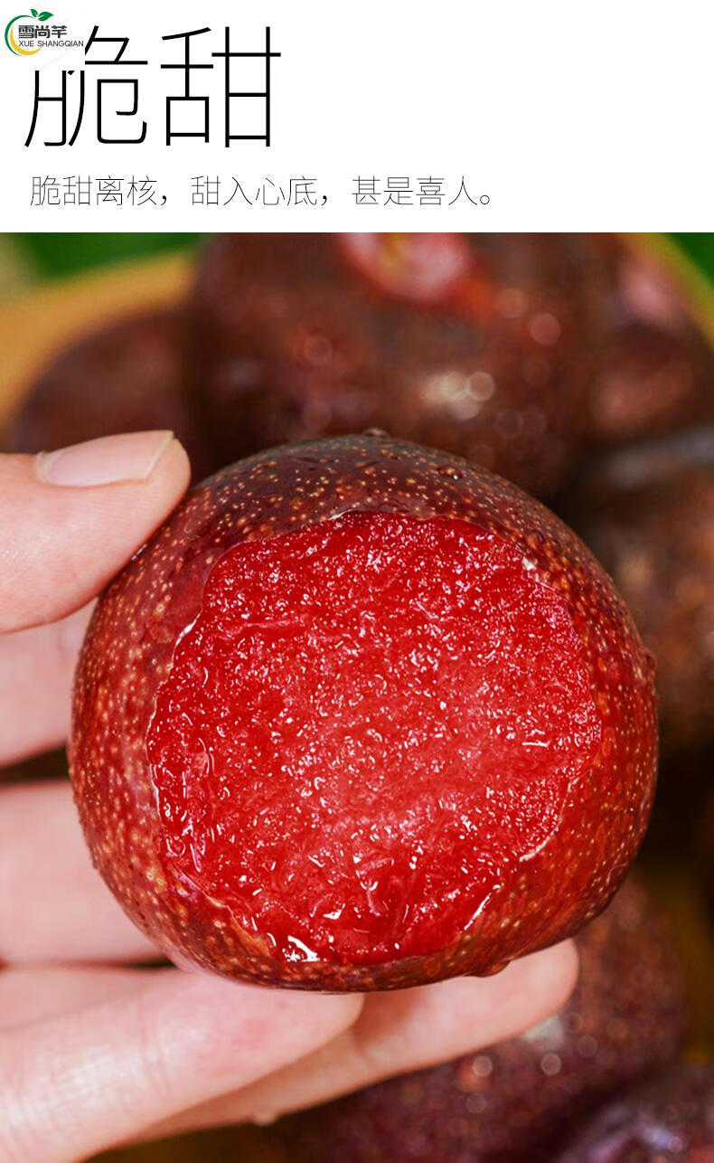恐龙蛋李新鲜水果应当季红肉血丝大果红布李子优选品质5斤