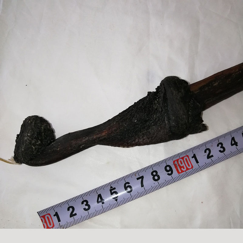 同仁堂有仁堂马鞭中药材泡酒料马鞭鞭类马鞭干一条120克带蛋有睾丸