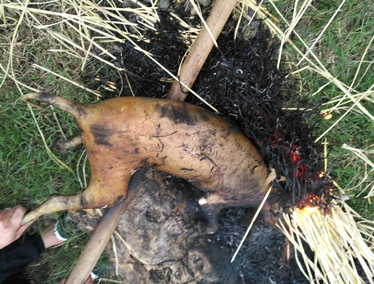 农家狗腿新鲜土狗子狗火锅 2kg