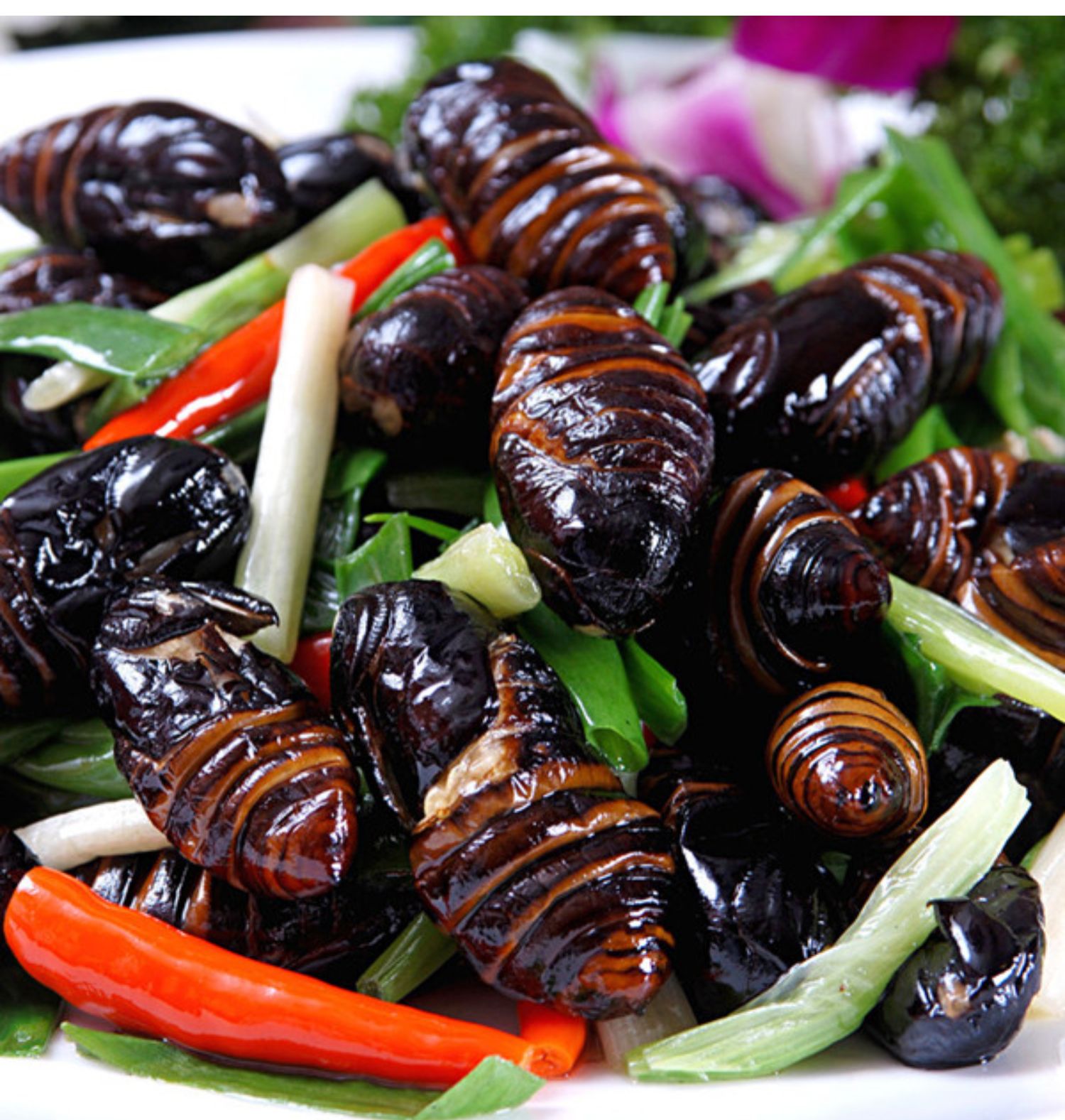 老闫家东北特产柞蚕蛹新鲜活蚕蛹a级大茧蛹蝉黑蛹500g蝉蛹2斤顺丰