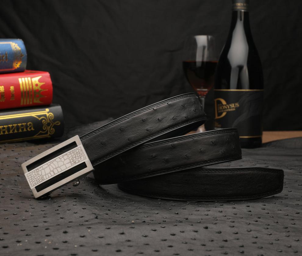 正资(zhengzi)高端轻奢侈品牌稀有鸵鸟真皮男士皮带裤腰带520生日礼物