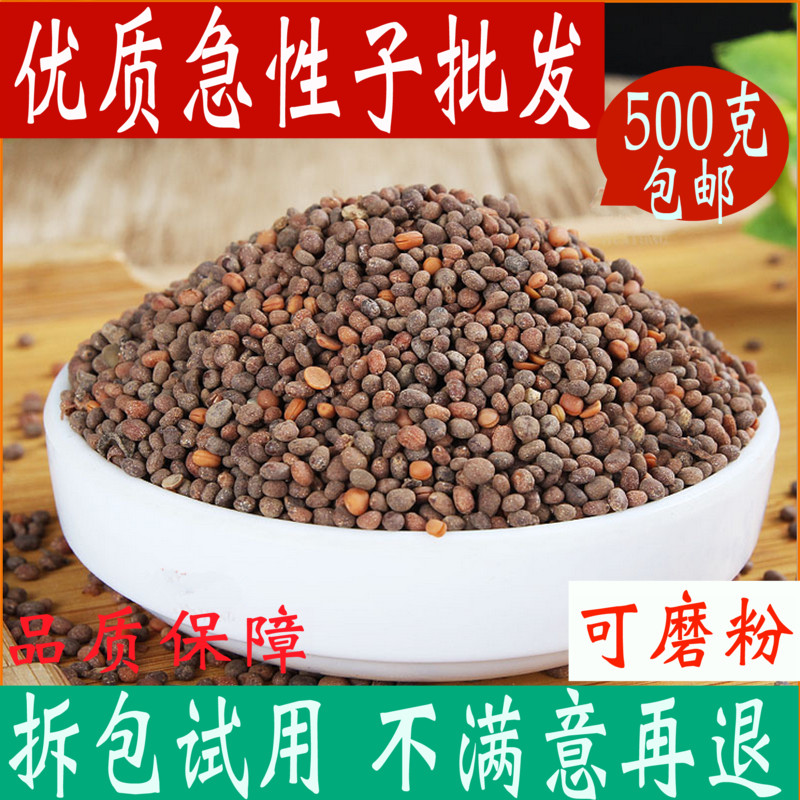 北京同仁堂急性子中药材店铺凤仙花子金凤花子急性籽粉500克中草药