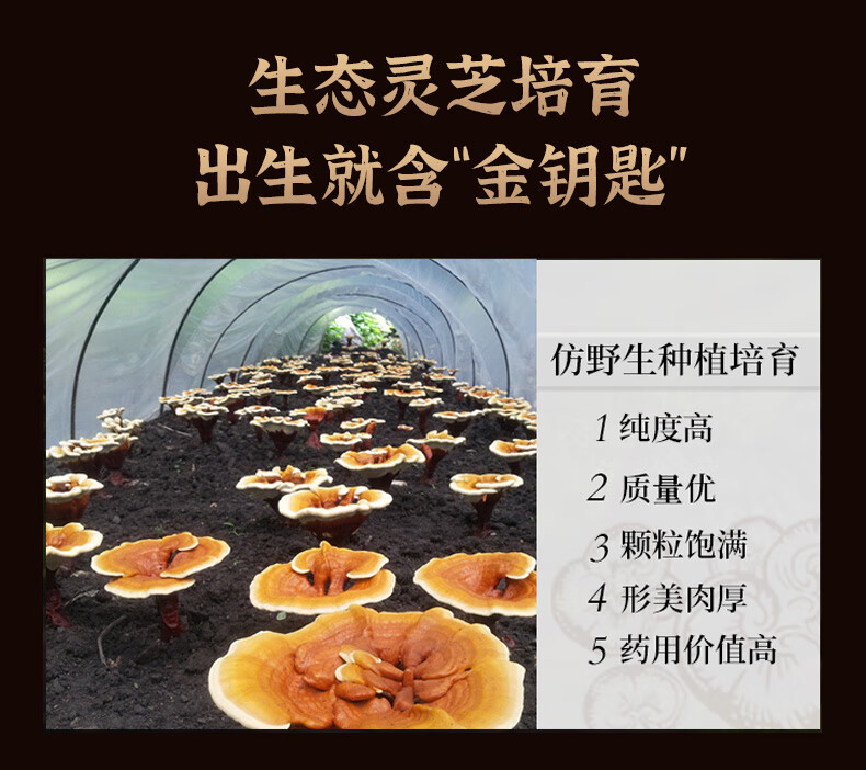 bce1a3997edf535e.jpg