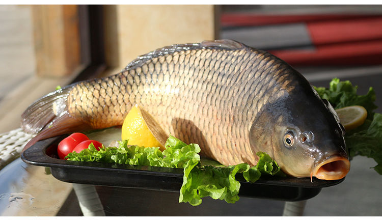 流连湾吉林松原冬捕鲤鱼冬捕鱼吉林松原特产5斤20斤冬捕淡水鱼春节