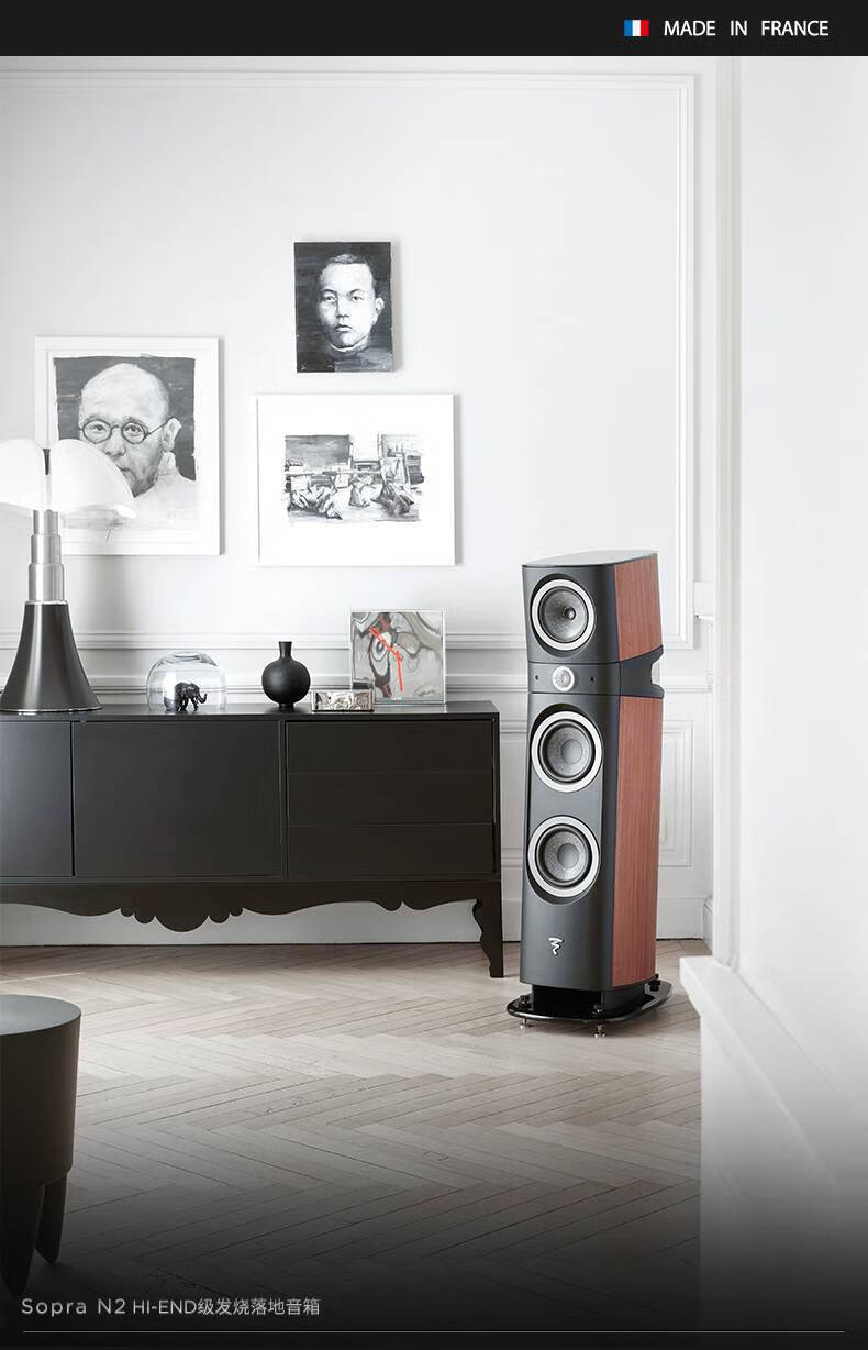 focal the spirit of sound法国劲浪sopra n2发烧级无源 pm10 n2主箱
