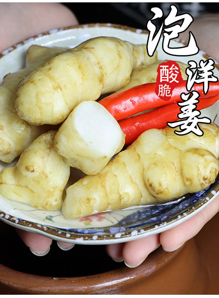 250g老坛泡洋姜四川泡菜泡姜农家自制孕妇泡菜开胃鲜下饭菜