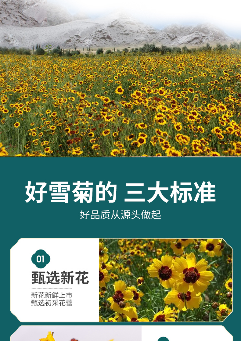 江中昆仑雪菊60g昆仑雪菊60g