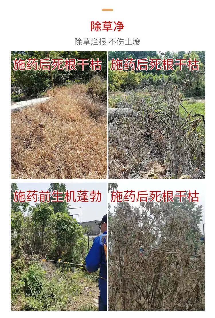 草甘膦除草剂一箱草甘膦铵盐除草剂草甘膦一扫光除草剂烂根型瓶装4000